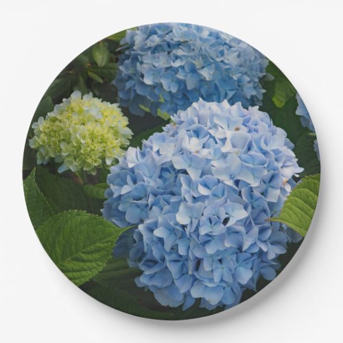 Floral Blue Hydrangea Photo Paper Plates
