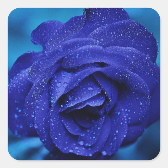 Floral Blue Rose Flower - Wedding Square Sticker (Front)