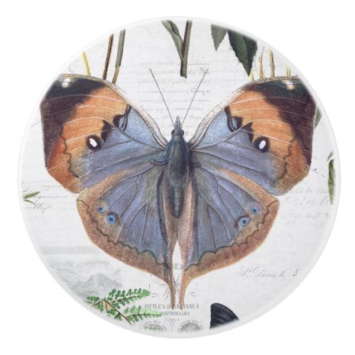 Floral Botanical Butterfly Vintage Cottage Ivory 3 Ceramic Knob