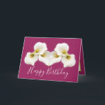 Floral Bouquet White Calla Lilies Floral Birthday Card<br><div class="desc">Beautiful modern bouquet of creamy white Calla Lily flowers against a color background. The flowers cover the front of this card which can be used as a thank you card, a birthday card, or any other card of your choice. Customize it with your text and/or pictures to make it one-of-a-kind!...</div>