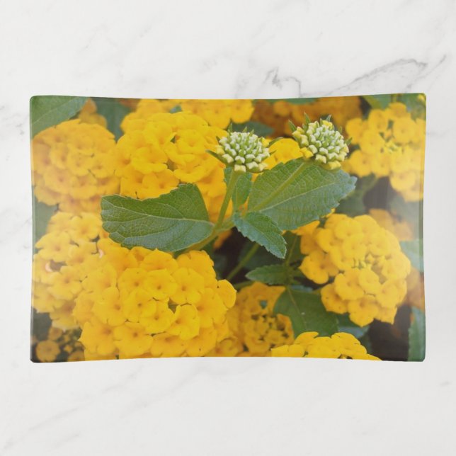 Floral Bright Yellow Blooms Photo Garden Flowers Trinket Tray (Front)