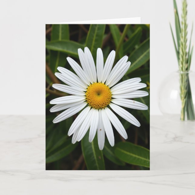 Floral Burst Mothers Day Card (Front)