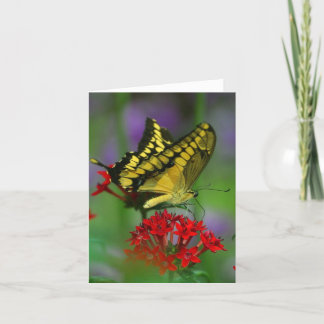 Floral Butterfly Card