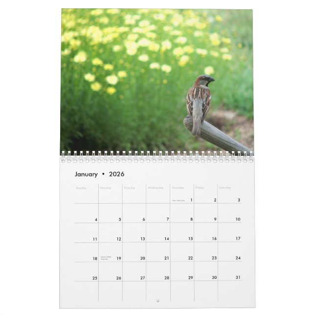 Floral Calendar 2013: Welcome to my garden (Jan 2026)