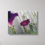 Floral Canvas Print<br><div class="desc">The image on the 14' x 11" (1.5") canvas print consists of pink-purple Morning Glory wildflowers perched on a gray, wooden fence on a sunny summer's morn. These vibrant, delicate, little beauties do not last long after blooming, but we love them just the same. This particular variety, they say, symbolizes...</div>