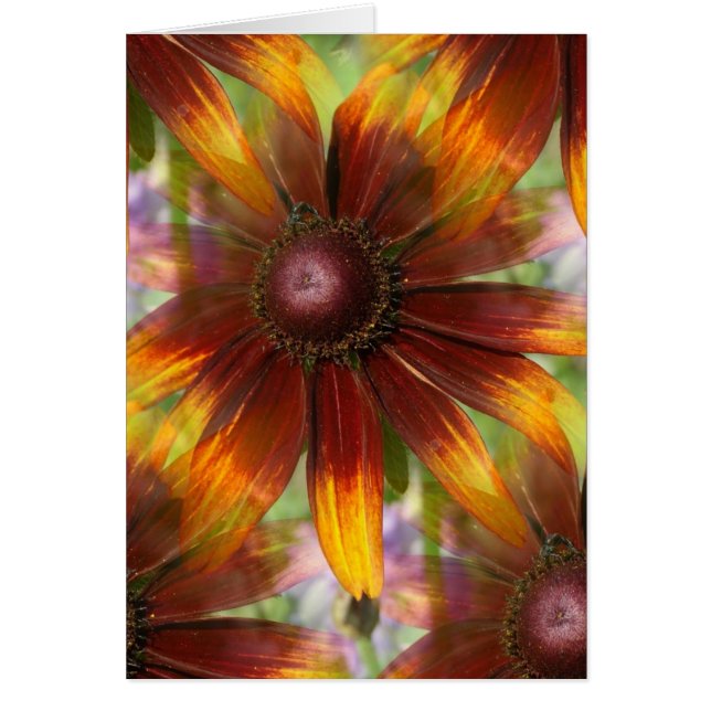 Floral Cards (Front)