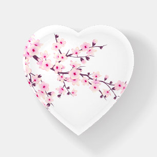 Floral Cherry Blossoms Pink White Paperweight