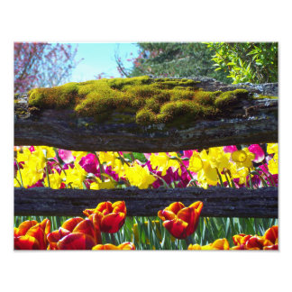 Floral Choral Photo Print