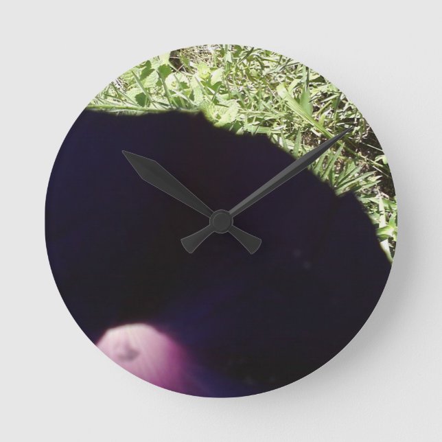 Floral Clock (Front)