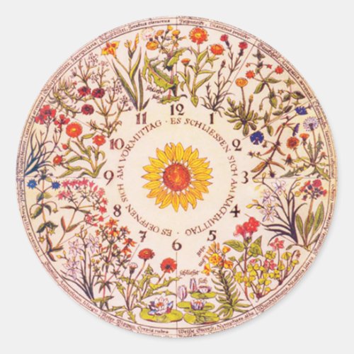 Floral Clock Garden Planting  Classic Round Sticker