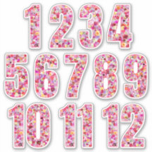 Floral Colorful Twelve Months Botanical Pinkish