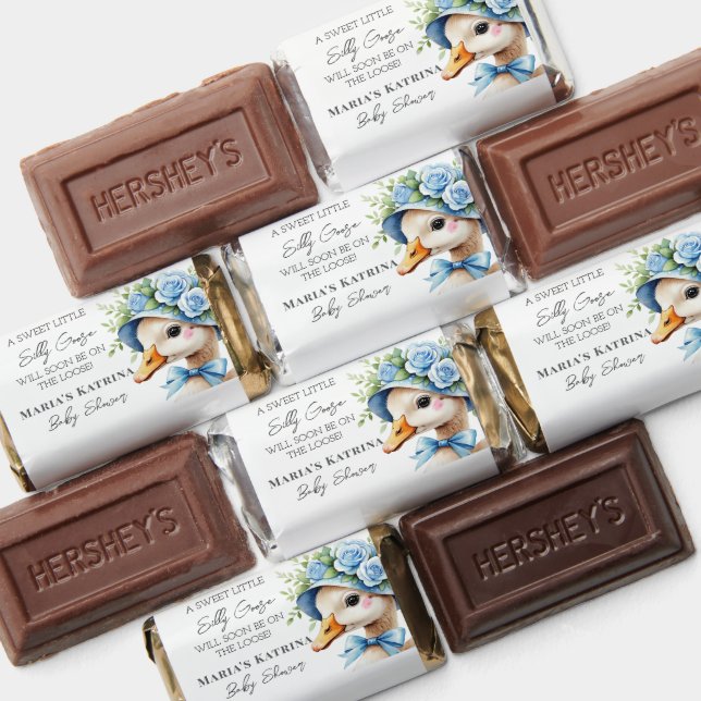 Floral Coquette Silly Goose Boy Baby shower Hershey's Miniatures (Assorted)