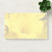 Floral Daffodil Garden Flower Jumbo Post It Note (Office)