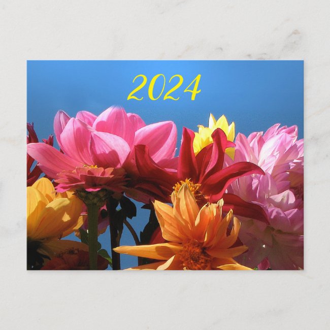 Floral Dahlias with 2024 Calendar on Back Postcard
