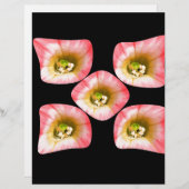 Floral Delight (Front/Back)