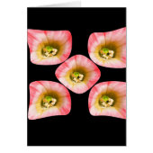 Floral Delight (Front)