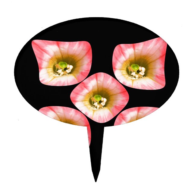 Floral Delight Cake Topper (Front)