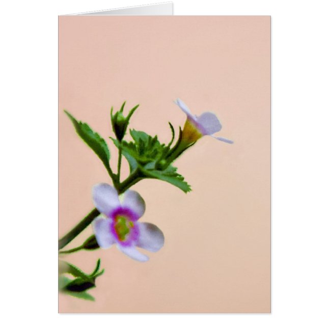 Floral Design On Pink Cards (Front)