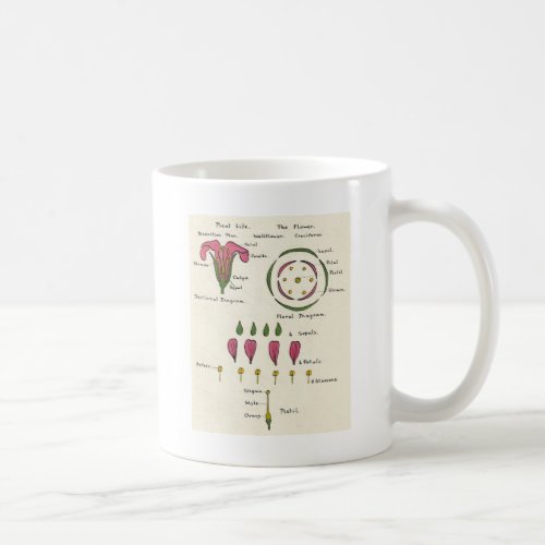 Floral Diagram Coffee Mug