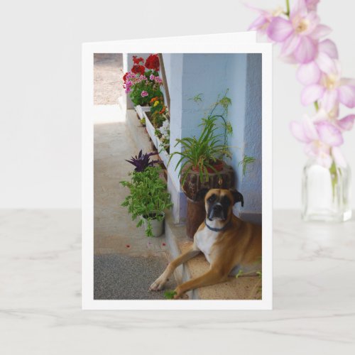 Floral Dog Portrait Card