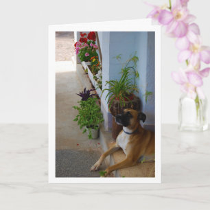 Floral Dog Portrait Card