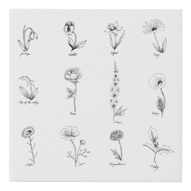 Floral Drawings Faux Canvas Print (Front)