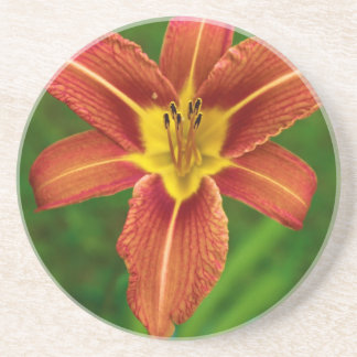 Floral Drink Coaster