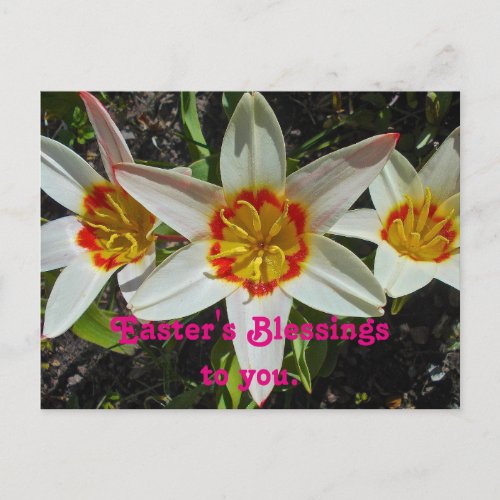Floral Easter Blessings Holiday Postcard