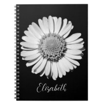 Floral Elegant Big Black and White Daisy Add Name