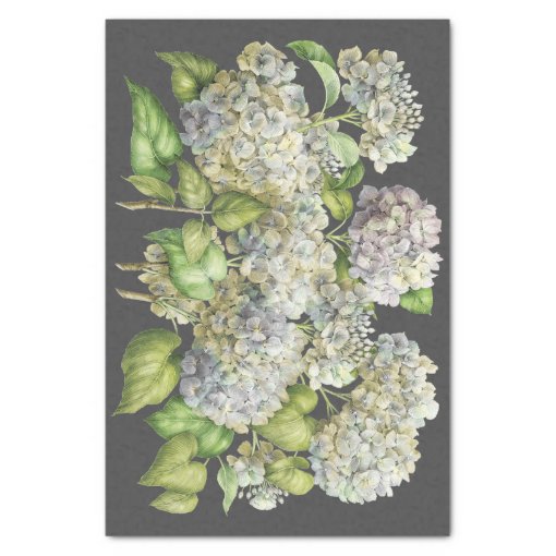Floral Elegant Blue Hydrangea Black Decoupage Tissue Paper Zazzle