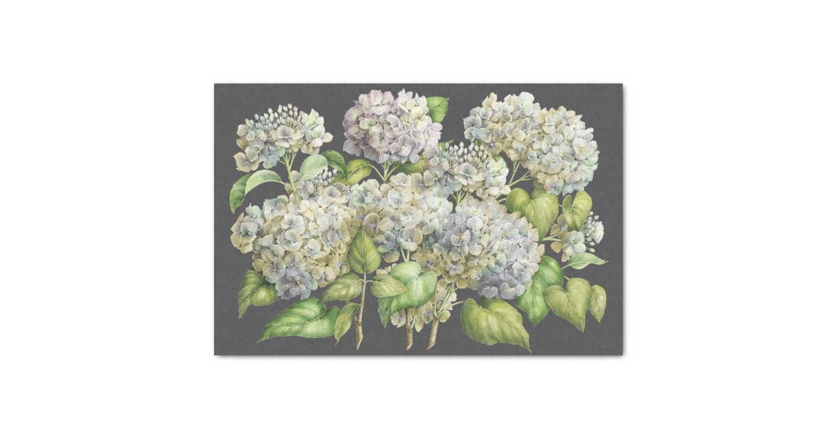 Floral Elegant Blue Hydrangea Black Decoupage Tissue Paper | Zazzle