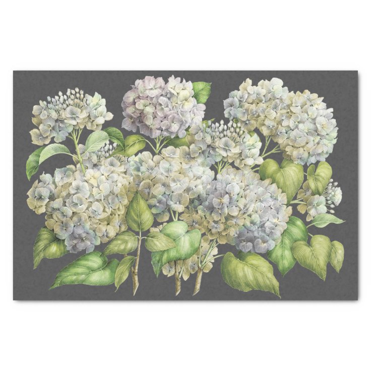 Floral Elegant Blue Hydrangea Black Decoupage Tissue Paper Zazzle