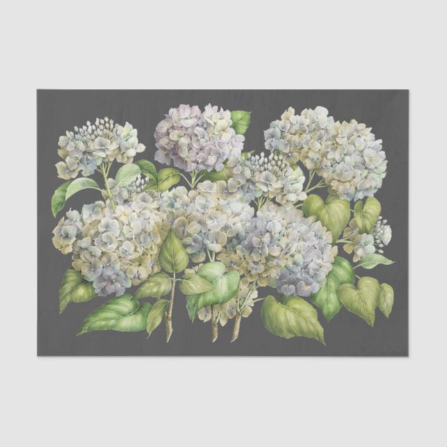 Floral Elegant Blue Hydrangea Black Decoupage Tissue Paper (Front)