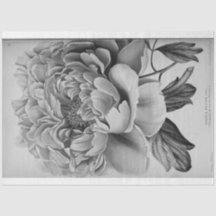 Floral Ephemera Decoupage Black White Peony