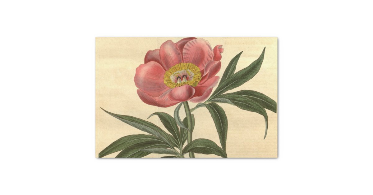 Floral Ephemera Decoupage Pink Flower Tissue Paper Zazzle