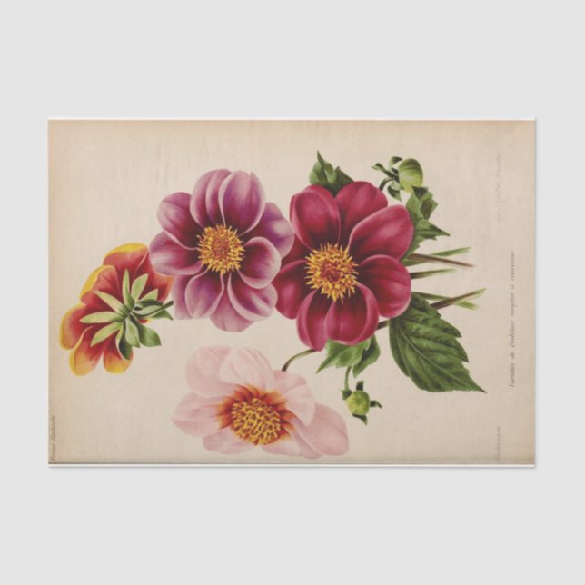 Floral Ephemera Decoupage Pink Flowers Tissue Paper (Front)