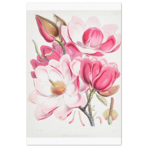 Floral Ephemera Decoupage Pink Magnolia Flowers Tissue Paper