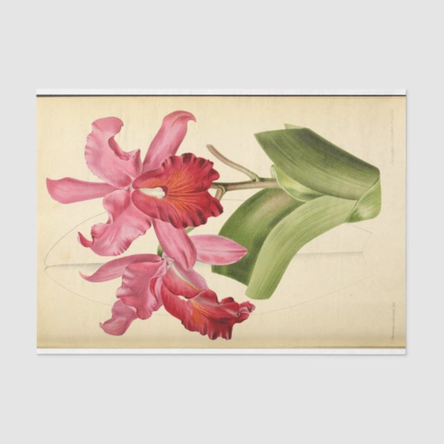 Floral Ephemera Decoupage Pink Tissue Paper (Front)