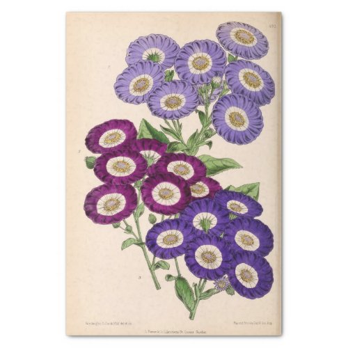 Floral Ephemera Decoupage Purple French Flowers Ti Tissue Paper