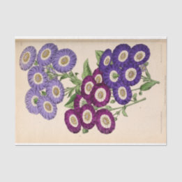 Floral Ephemera Decoupage Purple French Flowers Ti Tissue Paper