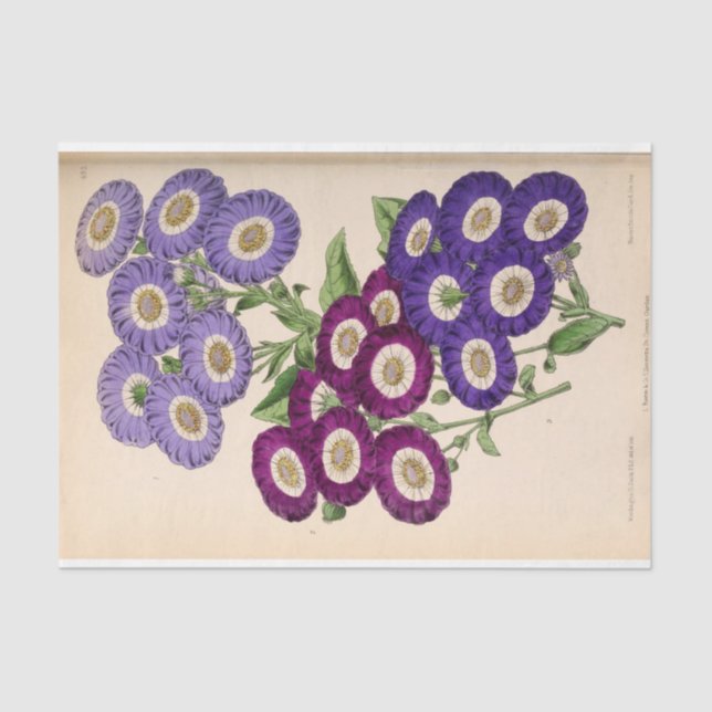 Floral Ephemera Decoupage Purple French Flowers Ti Tissue Paper (Front)