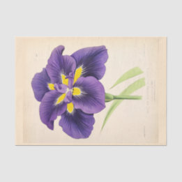 Floral Ephemera Decoupage Purple French Flowers Tissue Paper