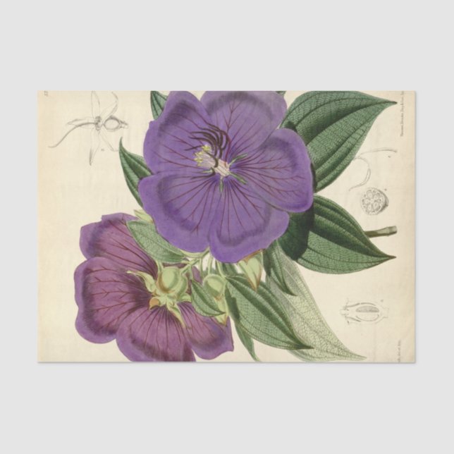 Floral Ephemera Decoupage Purple Tissue Paper (Front)
