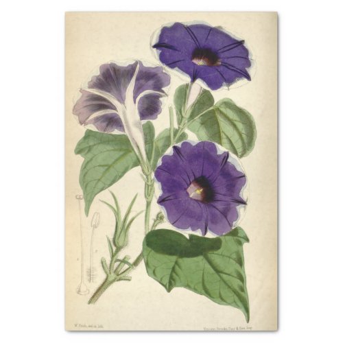 Floral Ephemera Decoupage Purple Tissue Paper