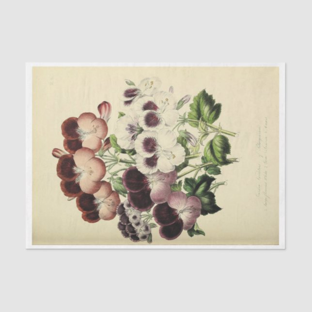 Floral Ephemera Decoupage Purple White Pansies Tissue Paper (Front)