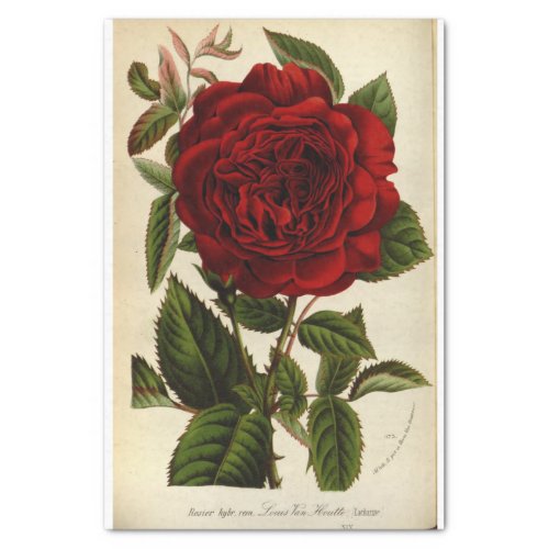 Floral Ephemera Decoupage Red Rose Tissue Paper