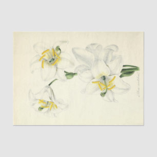 Floral Ephemera Decoupage White Lily Tissue Paper
