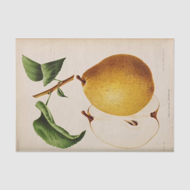 Floral Ephemera Decoupage Yellow Pear Tissue Paper (Front)