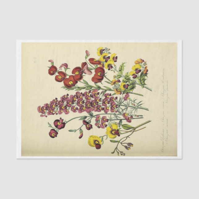 Floral Ephemera Decoupage Yellow  Purple Flowers Tissue Paper (Front)