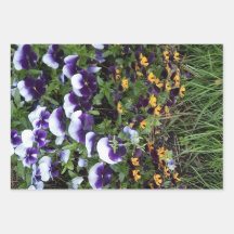 Floral Explosion